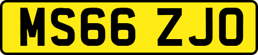 MS66ZJO
