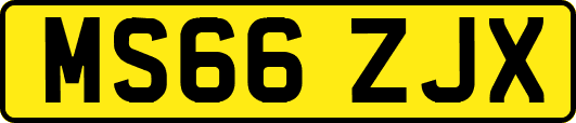 MS66ZJX
