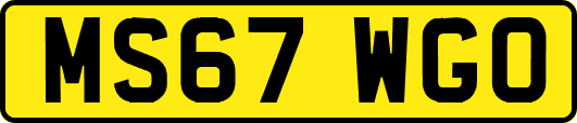 MS67WGO