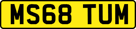 MS68TUM