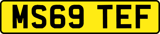 MS69TEF