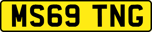 MS69TNG