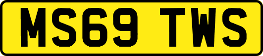 MS69TWS