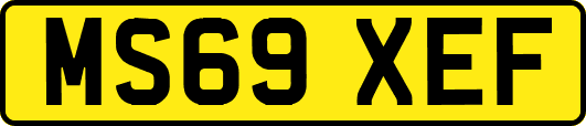 MS69XEF