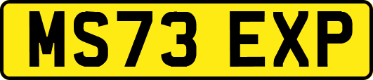 MS73EXP