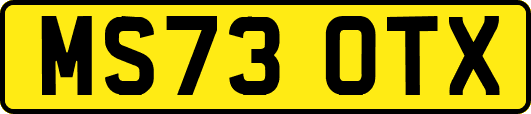 MS73OTX