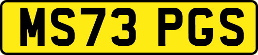 MS73PGS