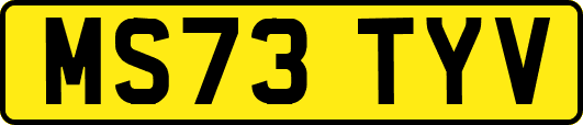 MS73TYV