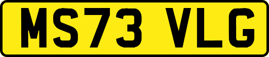 MS73VLG