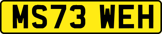 MS73WEH