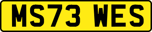 MS73WES