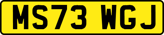 MS73WGJ