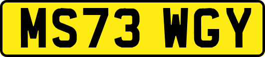 MS73WGY