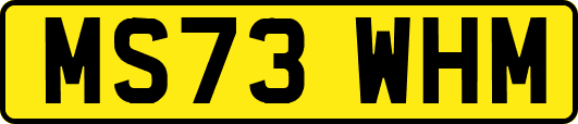 MS73WHM