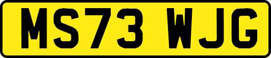 MS73WJG
