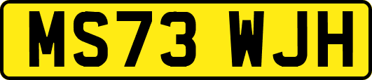 MS73WJH