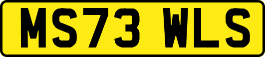 MS73WLS