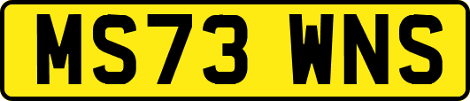 MS73WNS