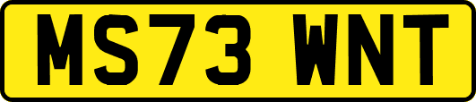 MS73WNT