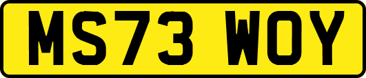 MS73WOY