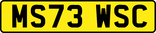 MS73WSC
