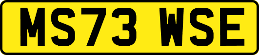 MS73WSE