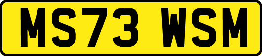 MS73WSM