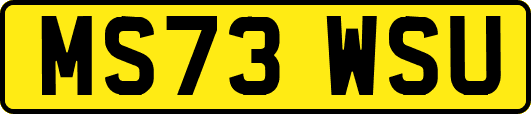 MS73WSU