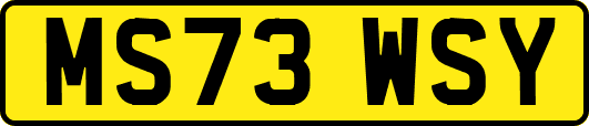 MS73WSY