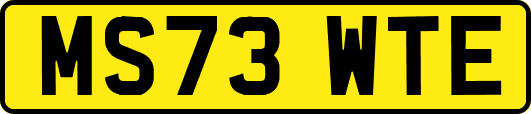 MS73WTE