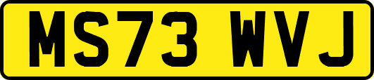 MS73WVJ