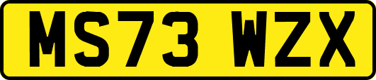 MS73WZX
