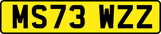 MS73WZZ