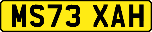 MS73XAH