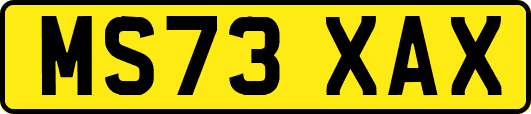 MS73XAX