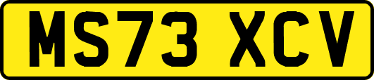MS73XCV