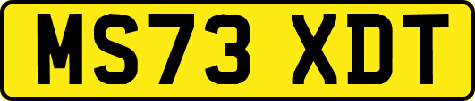 MS73XDT