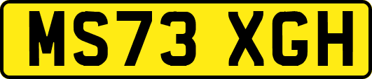 MS73XGH