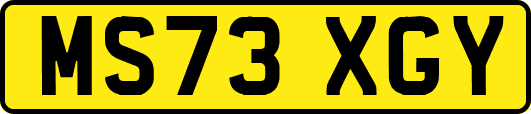 MS73XGY