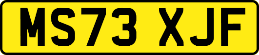 MS73XJF
