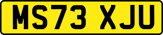 MS73XJU