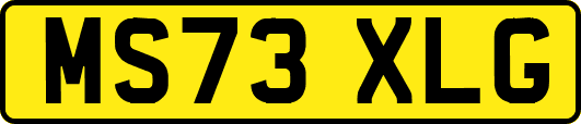 MS73XLG