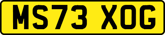 MS73XOG