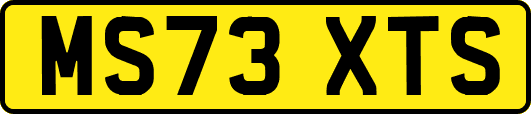 MS73XTS