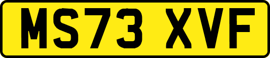 MS73XVF