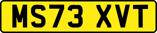 MS73XVT