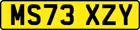 MS73XZY