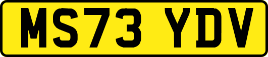 MS73YDV