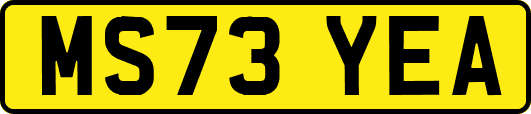 MS73YEA