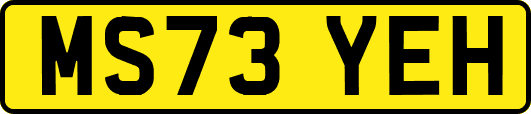 MS73YEH